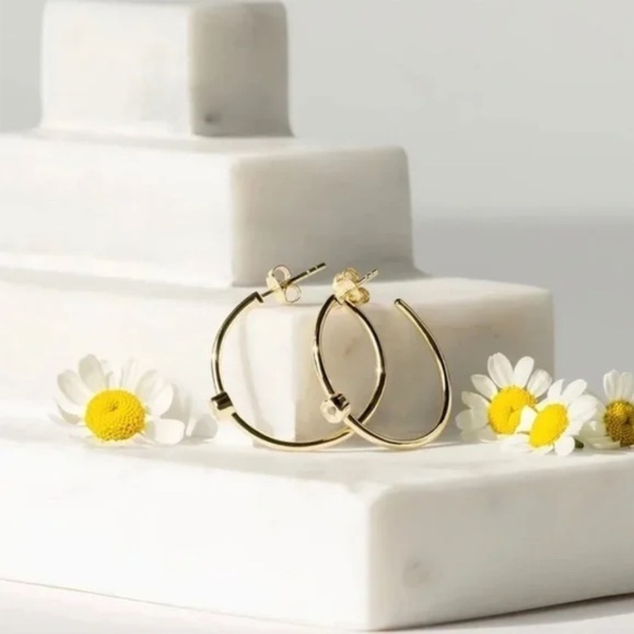 Marrin Costello X Rachel Zoe Curateur Mystic Hoop Earrings 14k Gold Plated - Picture 3 of 7